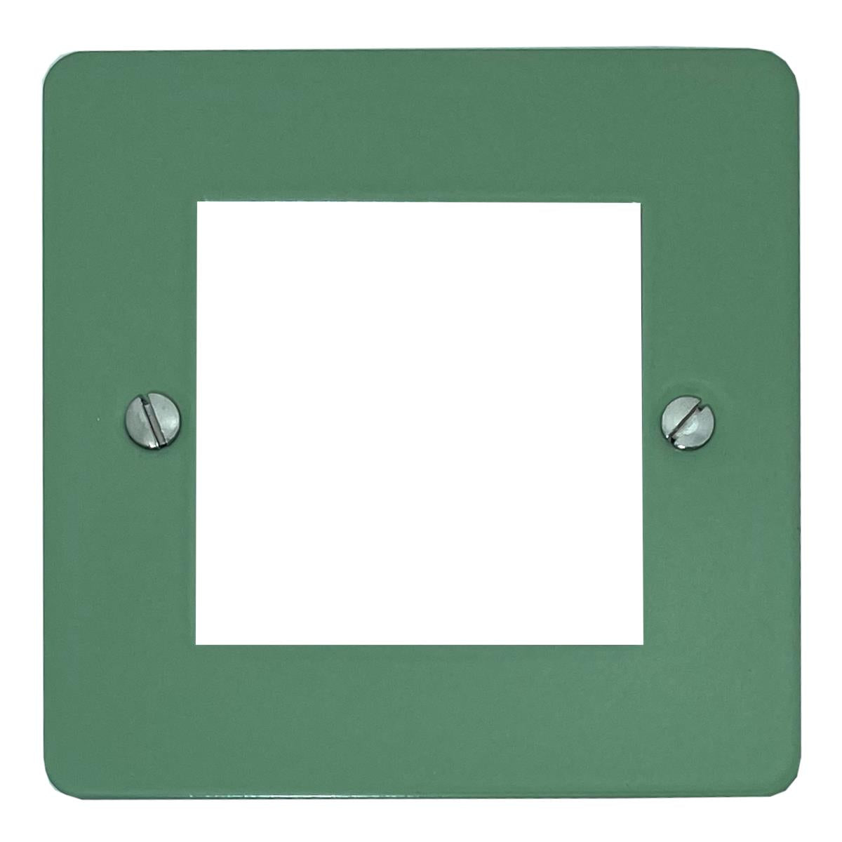 Flat Sage Green 1 Gang 2 Module Plate