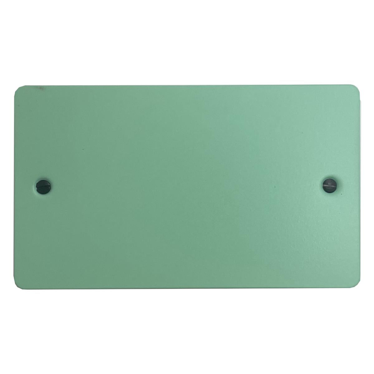 Flat Peppermint Green 2 Gang Blank