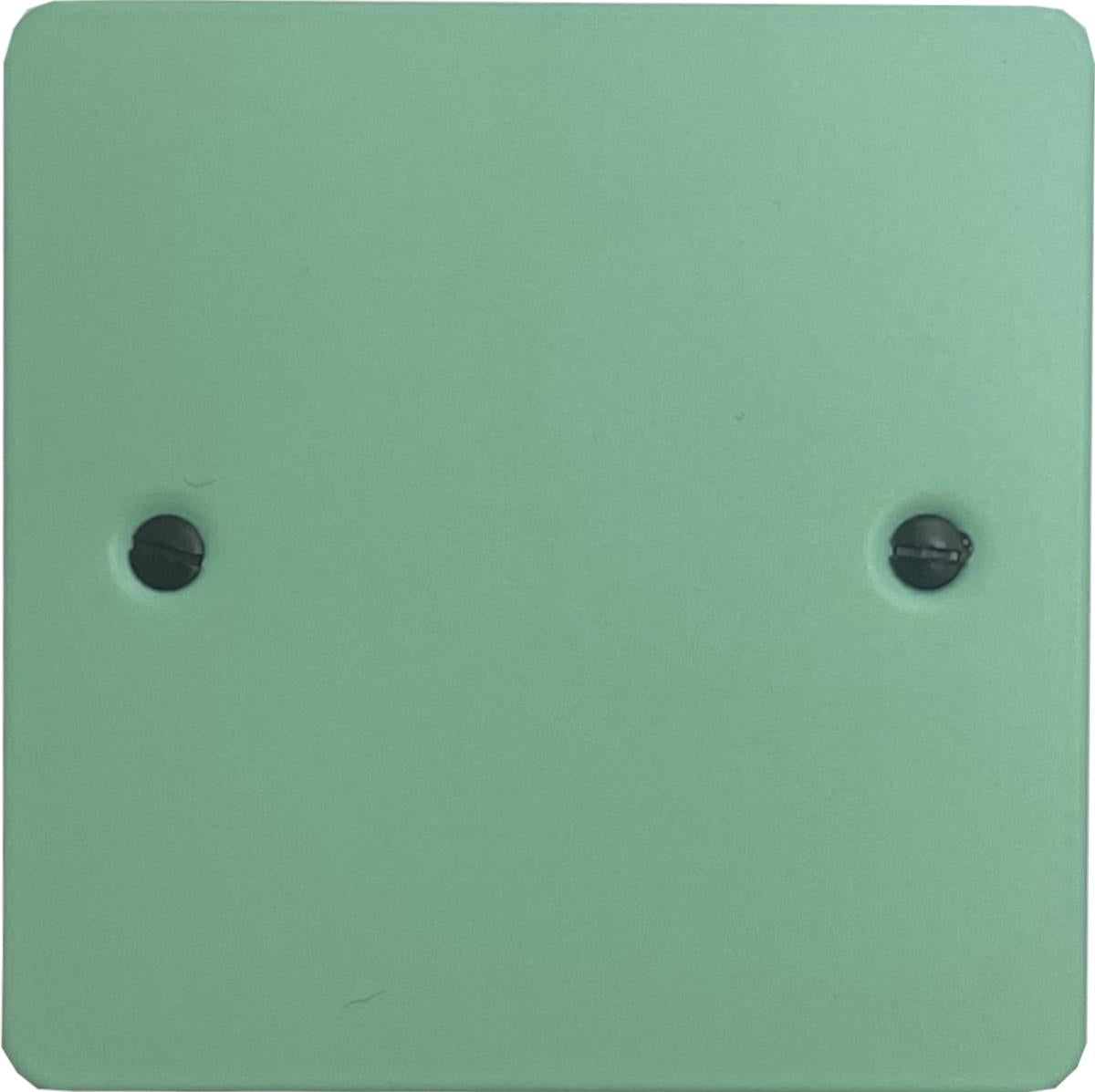 Flat Peppermint Green 1 Gang Blank