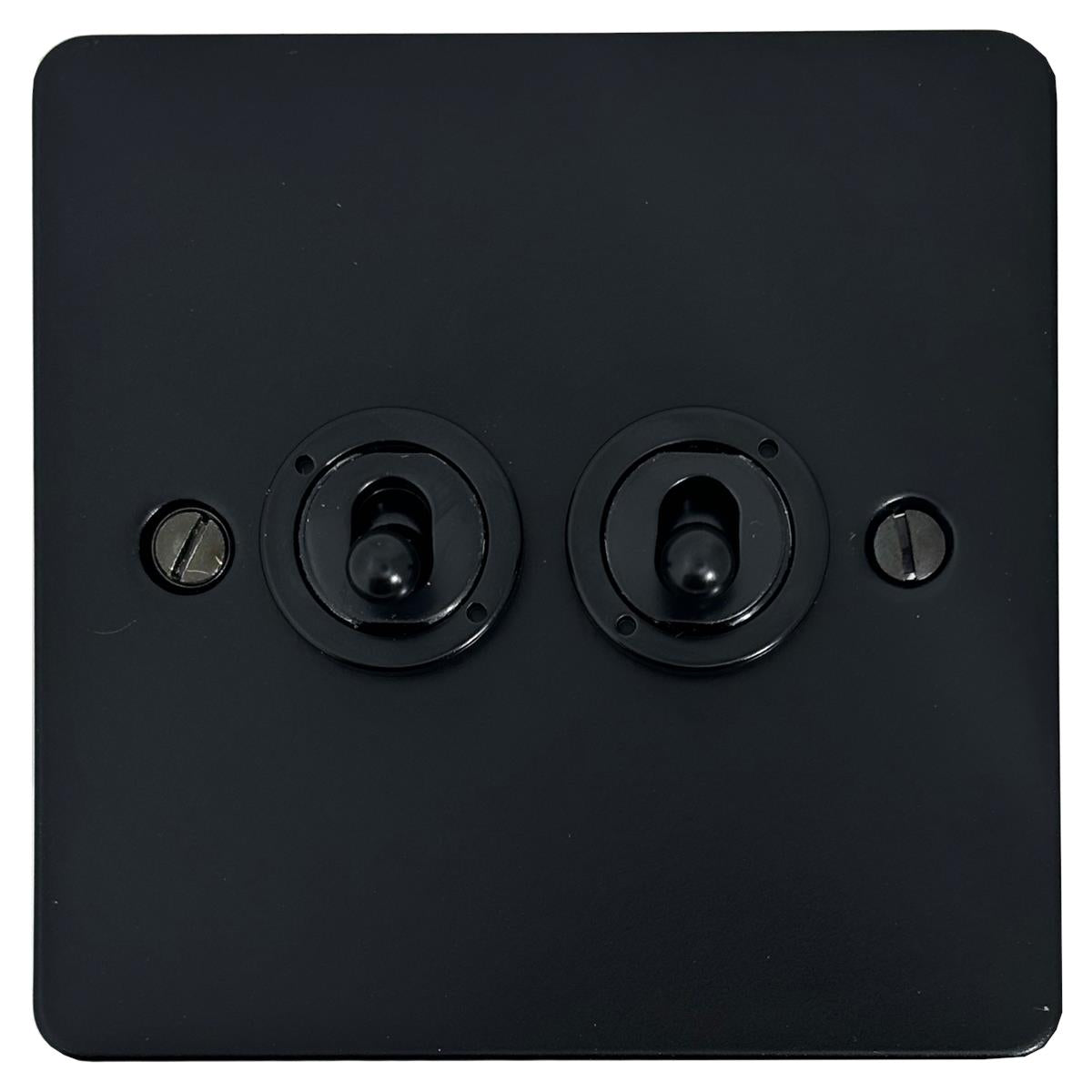 Flat Black 2 Gang Toggle Switch (Flat Black Toggle)