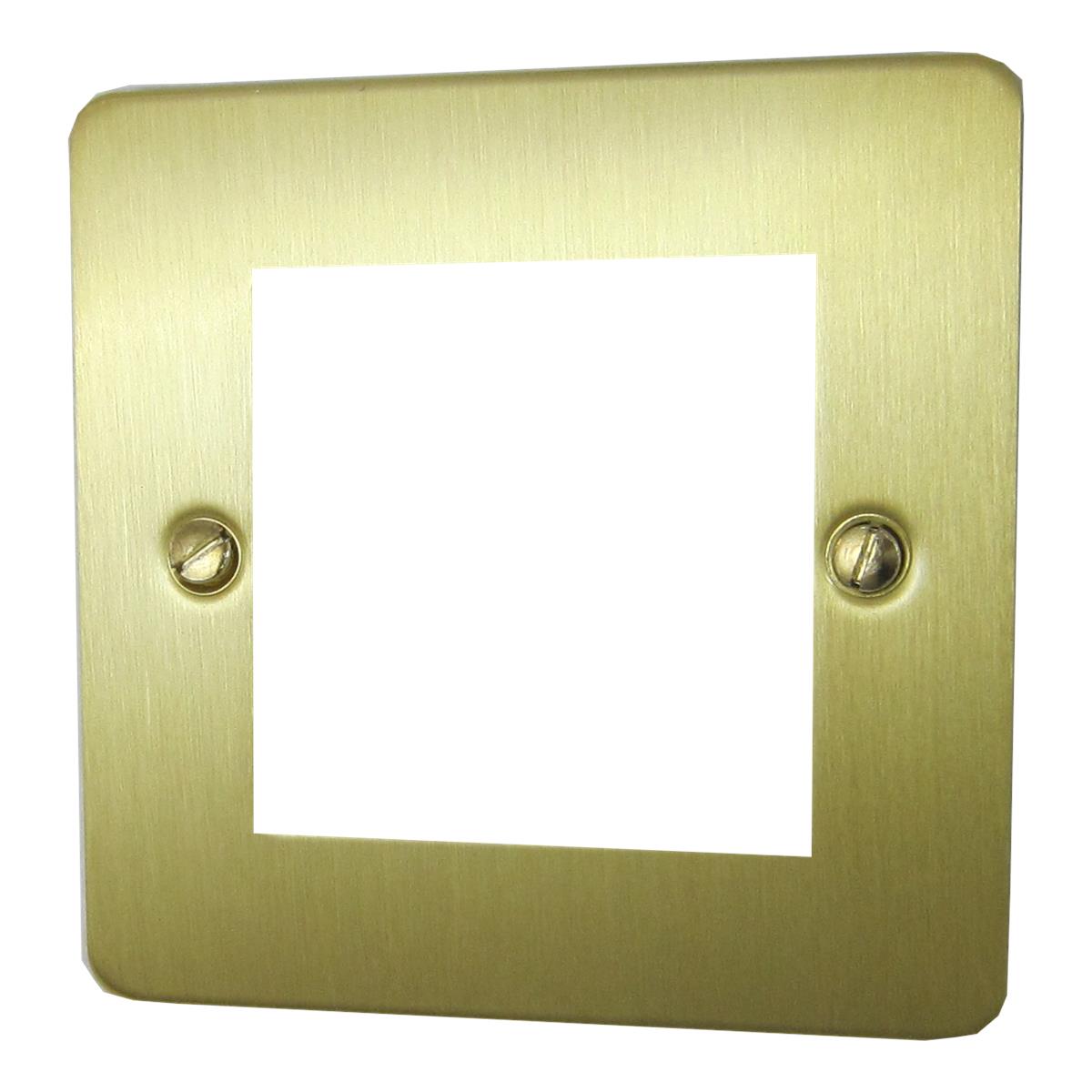 Flat Satin Brass 2 Module Data Plate